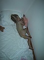 Jessica asleep<br />Lanzarote