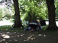 Camping at Hollands Wood